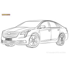 Silentblocs Powerflex Cadillac XTS (2012-)