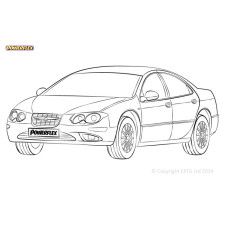 Powerflex bushes Chrysler 300M (1998 - 2004) - BUN-PF-00256 - BUN-PF-00256