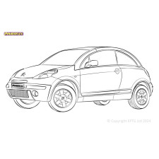 Boccole Powerflex Citroen C3 Pluriel (2003 - 2010) - BUN-PF-00273 - BUN-PF-00273