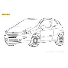 Powerflex bushes Fiat Punto Punto Evo (2009 - 2015) - BUN-PF-00355 - BUN-PF-00355