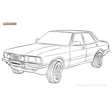 Powerflex bushes Ford Cortina Mk4,5 (1976-1982) - BUN-PF-00369 - BUN-PF-00369