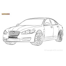 Boccole Powerflex Jaguar (Daimler) XF, XFR - X250 (2008 - 2015) - BUN-PF-00506 - BUN-PF-00506