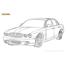 Powerflex Silentblocks Jaguar (Daimler) XJ, XJ8 - X350 - X358 (2003 - 2009) - BUN-PF-00508 - BUN-PF-00508