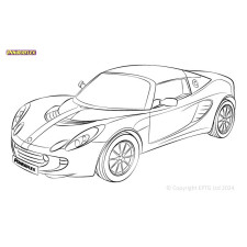 Boccole Powerflex Lotus 111R (2001-2011) - BUN-PF-00567 - BUN-PF-00567