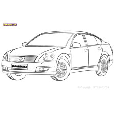 Boccole Powerflex Nissan Teana J51 (2003 - 2009) - BUN-PF-00714 - BUN-PF-00714