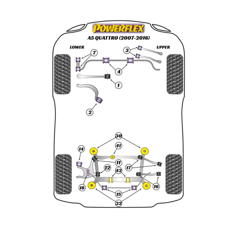 Powerflex Silentblocks Audi A5 Quattro (2007-2016) - BUN-PF-00061 - BUN-PF-00061