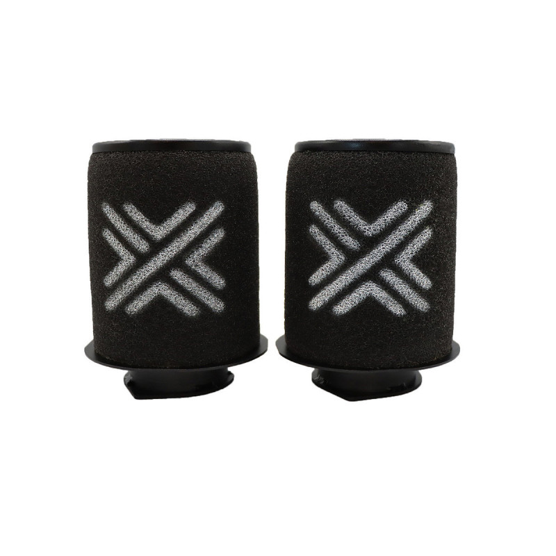 Vervangingsfilter PIPERCROSS voor Audi R8 4.2 V8 FSI Quattro, 03/07 - 07/15 (Inclusief 2 filters) - PC-PX1807 - PX1807 - 3661768601181
