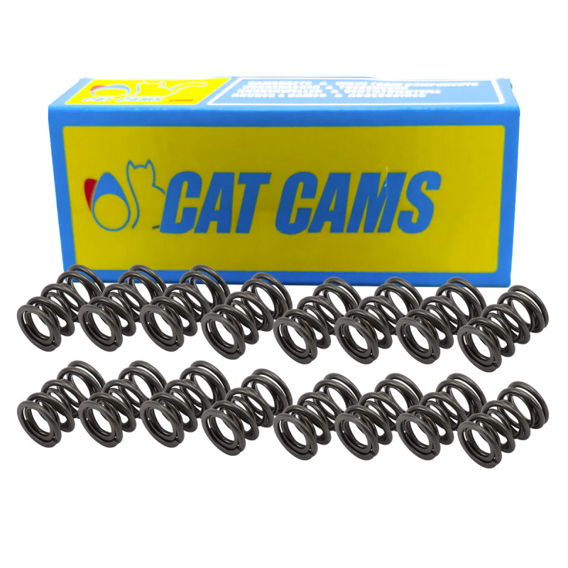 Cat nokken klepveerset Opel / Renault Clio 16S - CC-902-2009 - PAC-D92009 (X16) - 3661768056257