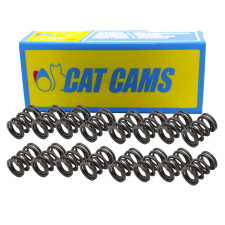 Cat nokken klepveerset Opel / Renault Clio 16S - CC-902-2009 - PAC-D92009 (X16) - 3661768056257