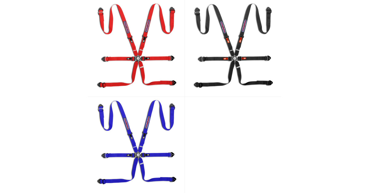 Sparco Martini Racing Competition H-2 Pull Down FIA 6-point harness