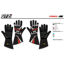 GT2i Pro 02 aangepaste handschoenen - GT-GANTS4-PERSO.XXL