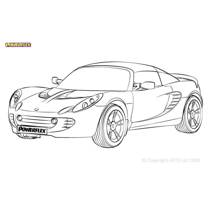Boccole Powerflex Lotus Séries 2 (2001-2011) - BUN-PF-00575 - BUN-PF-00575