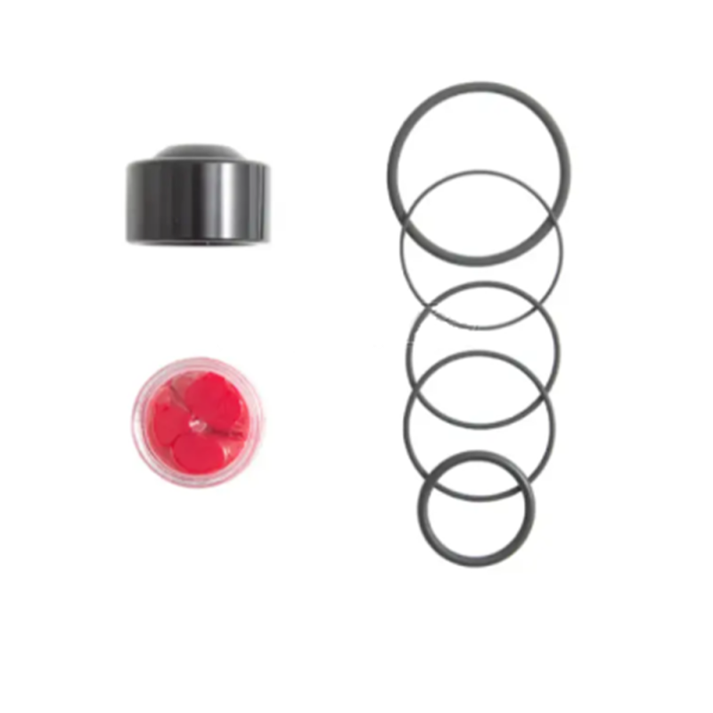 Kit réparation turbo valve Forge pour FMDV23A/R - FO-FMDVSK-FMDV23A/R - FMDVSK-FMDV23A/R - 3666618597522