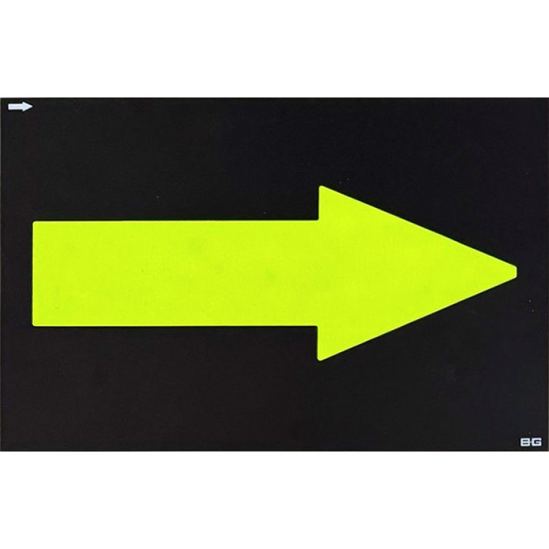 Săgeată pentru panou de stand BG Racing standard 255 x 178 mm - BG-R262G-AR.O - BGR262O-AR