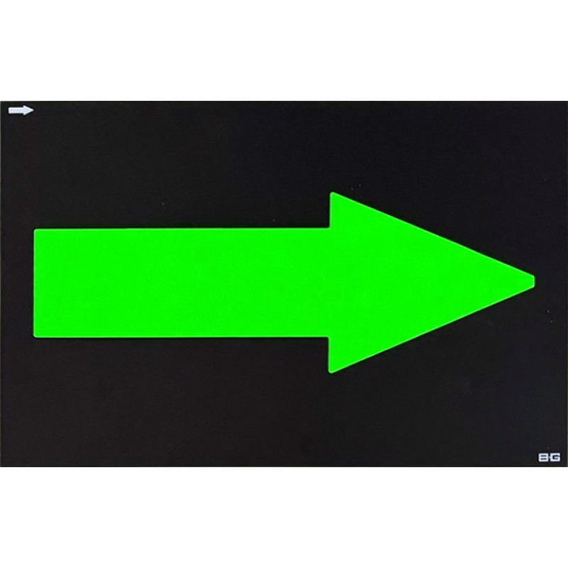 Săgeată pentru panou de stand BG Racing standard 255 x 178 mm - BG-R262G-AR.O - BGR262O-AR
