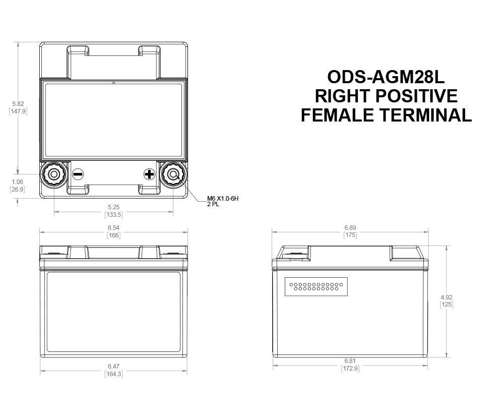 Odyssey Extreme PC925 ODS-AGM28L AGM Racing Battery, 28 Ah, 925 PHCA - ODY-EXTREME-35 - ODS-AGM28L - 3661768221402