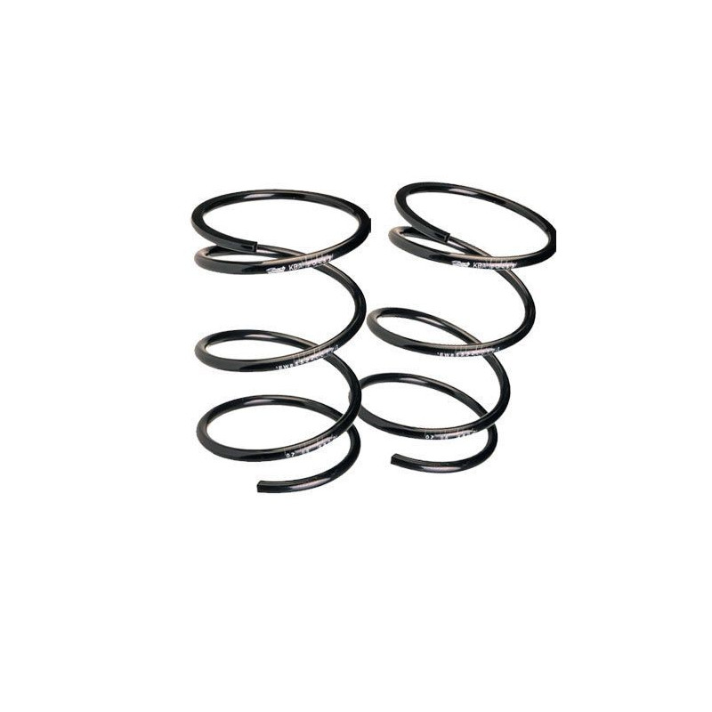 Suspension Spring Kit Eibach Citroën Saxo 16s -45mm - EI-20220020120 - E20-22-002-01-20 - 3661768210406