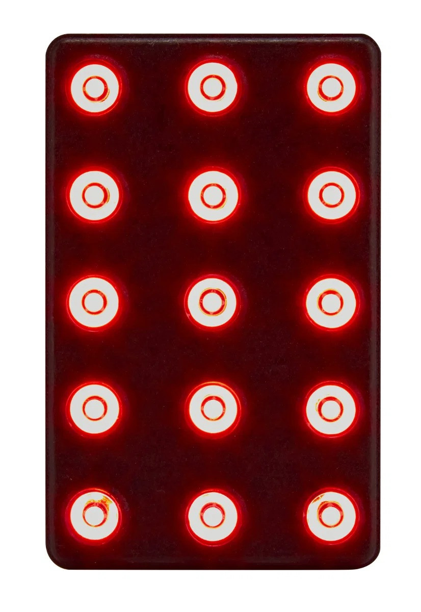Cartek FIA 8874-2019 LED-regenlamp | CK-LRS-15RM - CK-LRS-15RM - CK-LRS-15RM