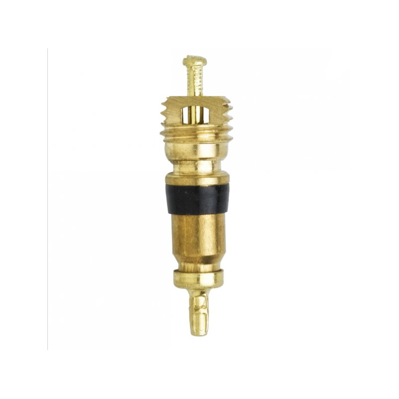 Boccola per valvola Schrader 42916-69 - SCH-42916-69 - 42916-69 X100 - 3666618040684