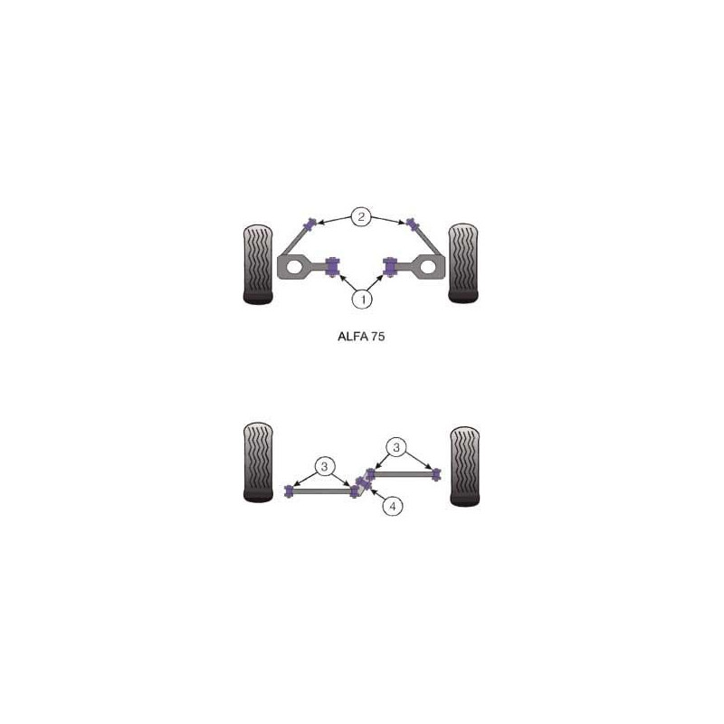 Silent-Bloc Powerflex Train Arrière Alfa Romeo GTV 6 / 75 Centre (1 Pièce) - PF-R01211 - PFR1-211 - 5055676500076