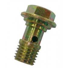 Vite Banjo Carburatore Weber