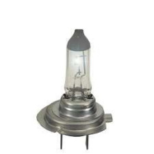 Lamp / Gloeilamp H7 100W 12V - LU-H7-100W - H7 100W - 3661768101513