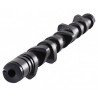 Arbre à Cames CAT CAMS Renault Clio II RS 284°/276° Sans Vanos