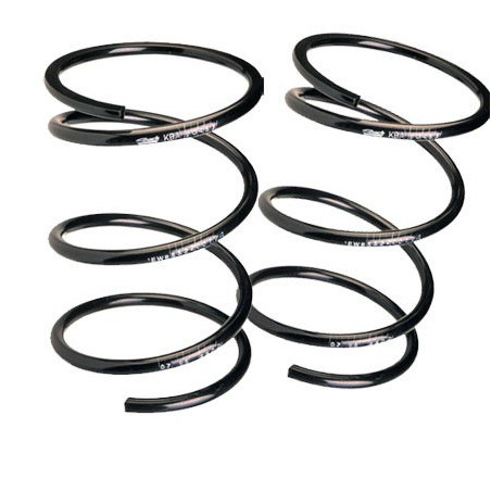 KIT korte veren EIBACH PROKIT voor Renault Mégane II 1.4 16V 98pk 2002/11-2008/02