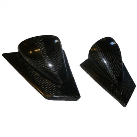Retroviseur Carbone RENAULT Clio 3 (la paire)