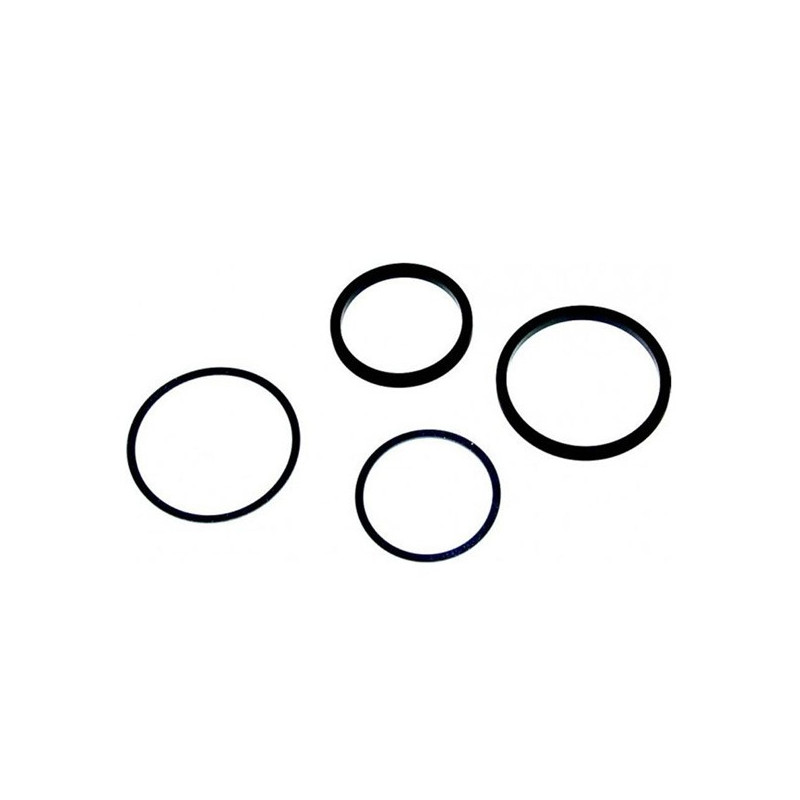 Reparatieset voor AP Racing Stop CP3859-1445 - AP-CP3759-3 - CP3759-3 - 3661768077610