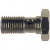Long Banjo Screw
