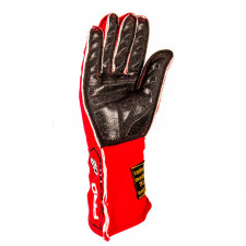GT2i Pro 02 FIA gloves