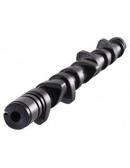 CATCAMS - Camshaft for Peugeot 206 2.0 16S 295°