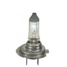 Lamp / Lamp Bulb H7 100W 12V