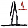 GT2i 3 point harness CEE 2"